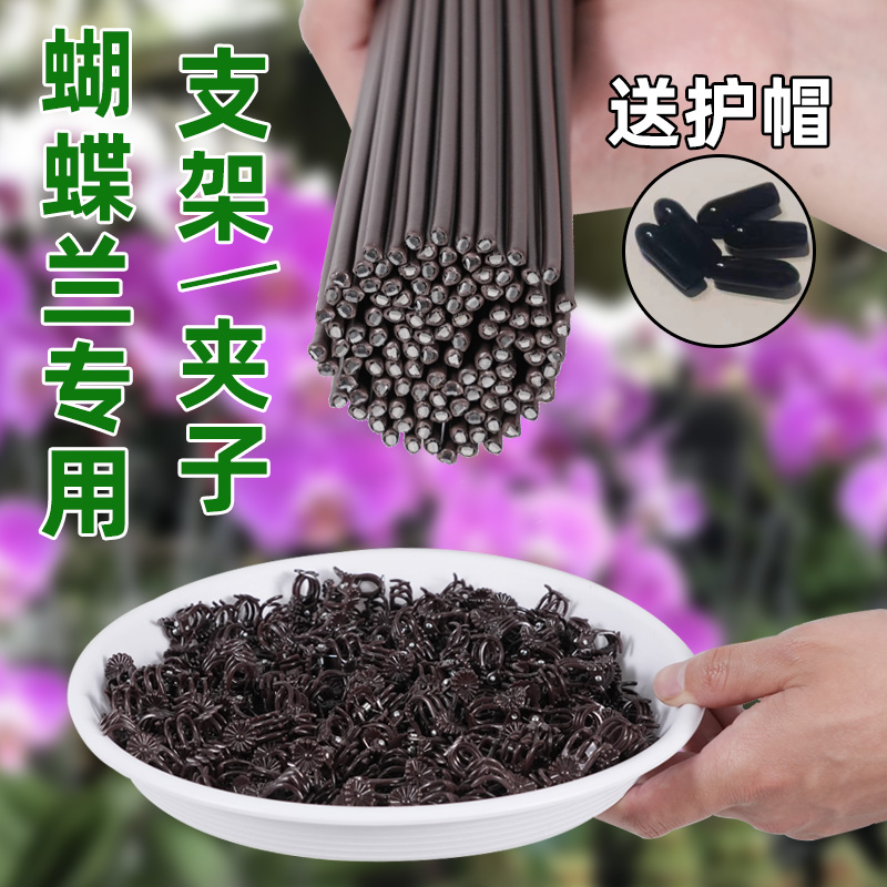 蝴蝶兰支架夹子兰花支撑杆植物专用拖架固定夹花卉园艺防倒伏花架