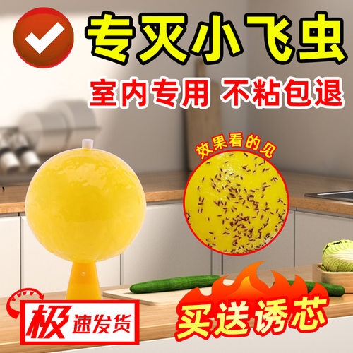 果蝇诱捕器室内去除小飞虫灭杀飞虫神器蚊虫诱苍蝇蠓虫粘虫球强力