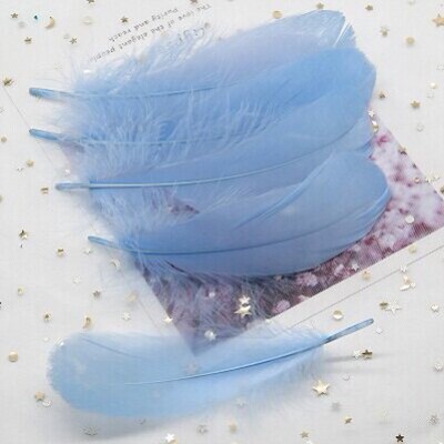 大中飘鹅毛8-12cm彩色服装饰品头饰演出天然翅膀大飘羽毛材料配件