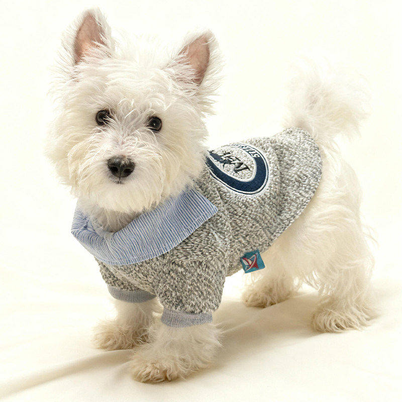 狗狗衣服冬装刺绣衬衫卫衣假两件中小型犬泰迪腊肠雪纳瑞秋冬季穿