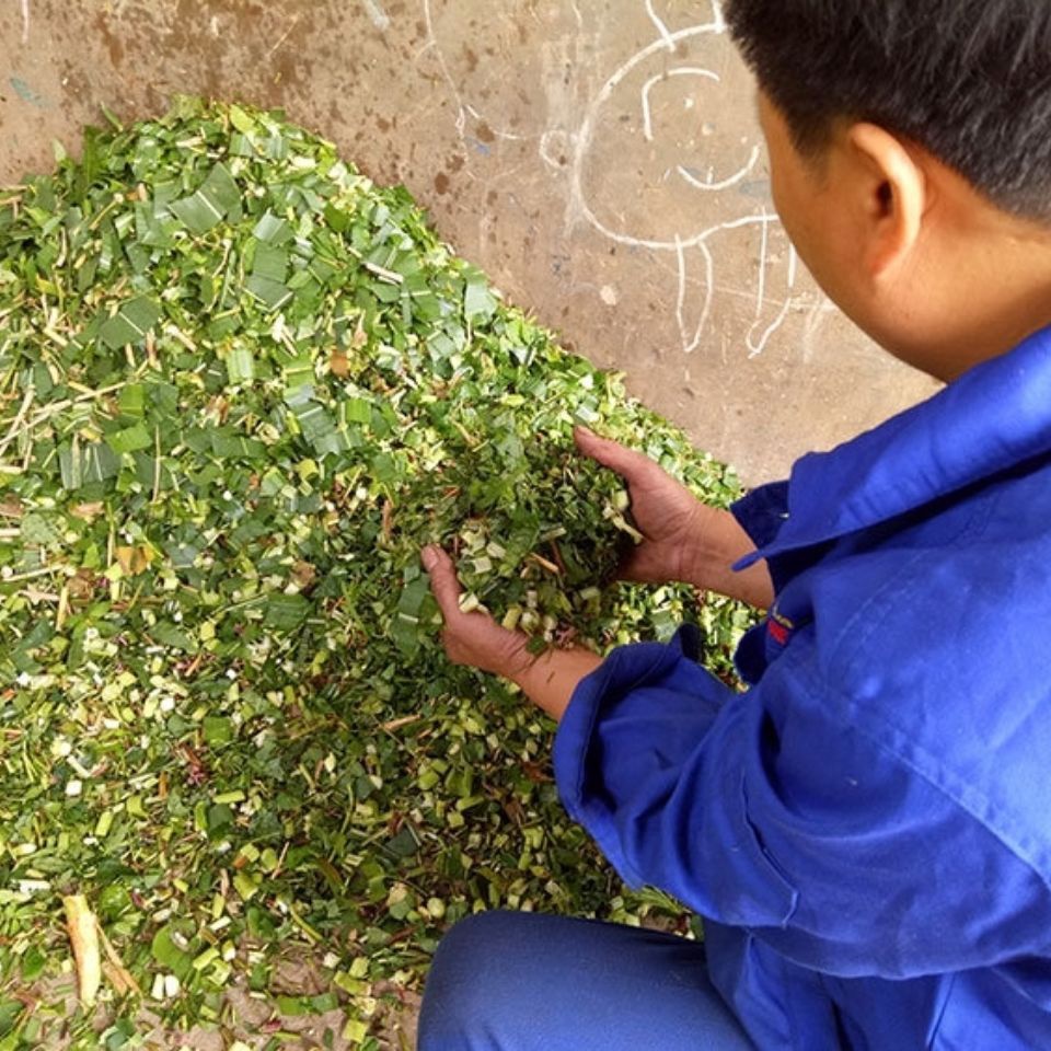 新品小型秸秆铡草机干湿两用稻草粉碎切草机家用220V畜牧养殖输送