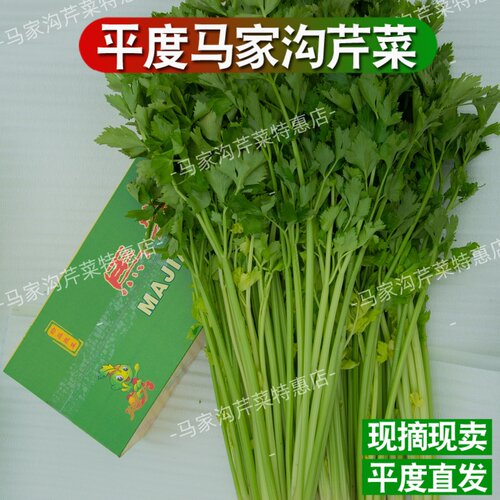 平度马家沟芹菜绿翡翠空心芹菜