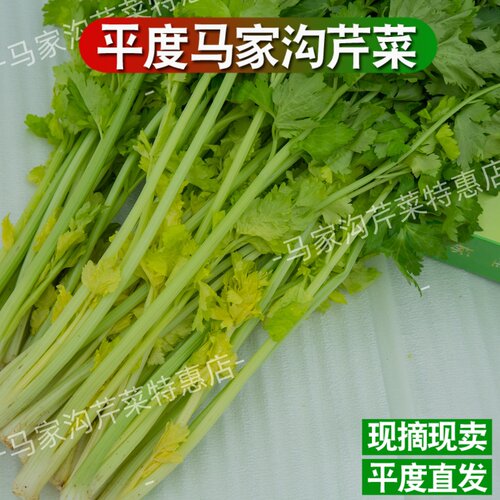 平度马家沟芹菜空心绿翡翠一秒开花空心空梗可生吃凉拌时令蔬菜