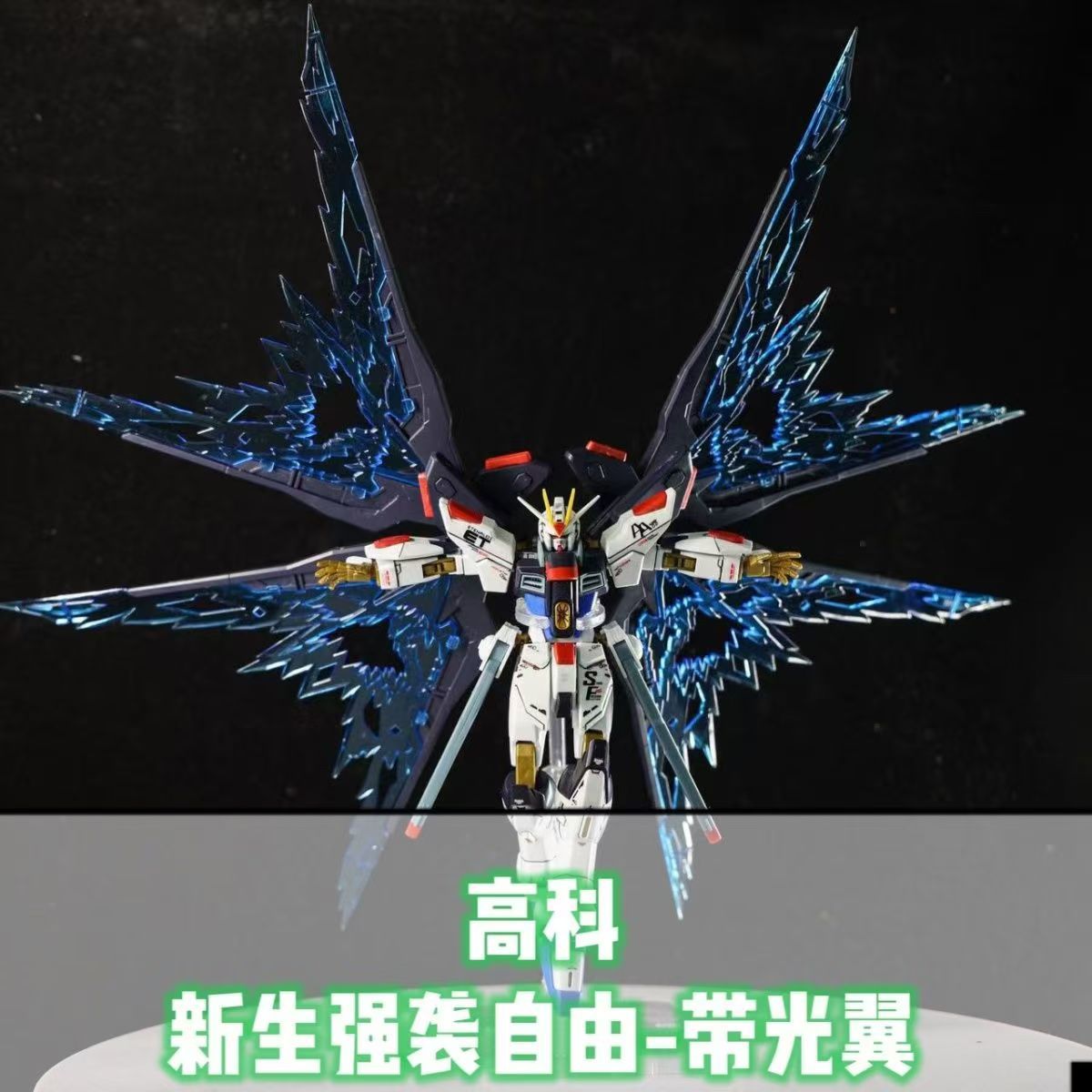 高科-新生强袭自由 Hg1/144拼装模型 送魂支架,水贴 光翼