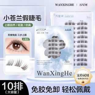万星河胶水款小苍兰大容量10排装韩系黑棕色假睫毛超自然单簇新手