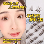 万星河无梗免胶原创假睫毛小苍兰黑棕色自然款 懒人婴儿弯分段式