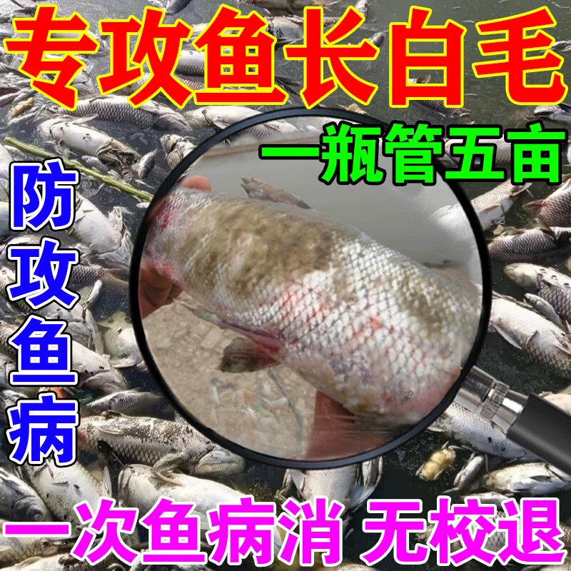 鱼长白毛用什么药专治鱼药防疗身上点烂尾身炸鳞万能疾病水产养殖