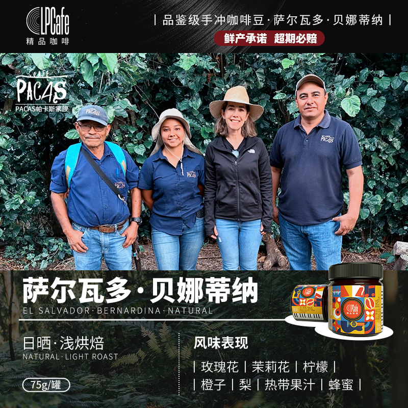 25新产季精品手冲豆浅中焙75g