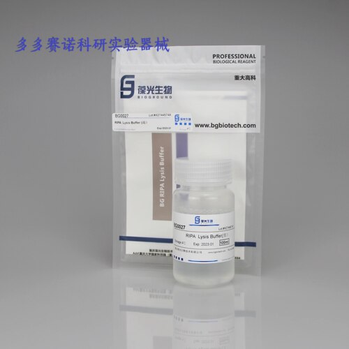 BG RIPA Lysis Buffer组织细胞裂解液,用于裂解贴壁细胞/悬浮细胞