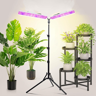 生长灯仿阳光led全光谱上色家用多肉花卉 多头植物补光灯落地款
