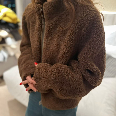 短款立领羊羔毛外套女小个子秋冬百搭高级皮毛一体显瘦羊羔绒上衣