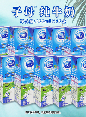 比利时进口dutchlady荷兰子母纯牛奶200ml*10盒办公室休闲早餐奶