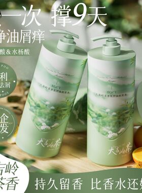 TOCI大吉岭白茶洗发水氨基酸控油蓬松除螨去屑止痒持久留香洗头膏