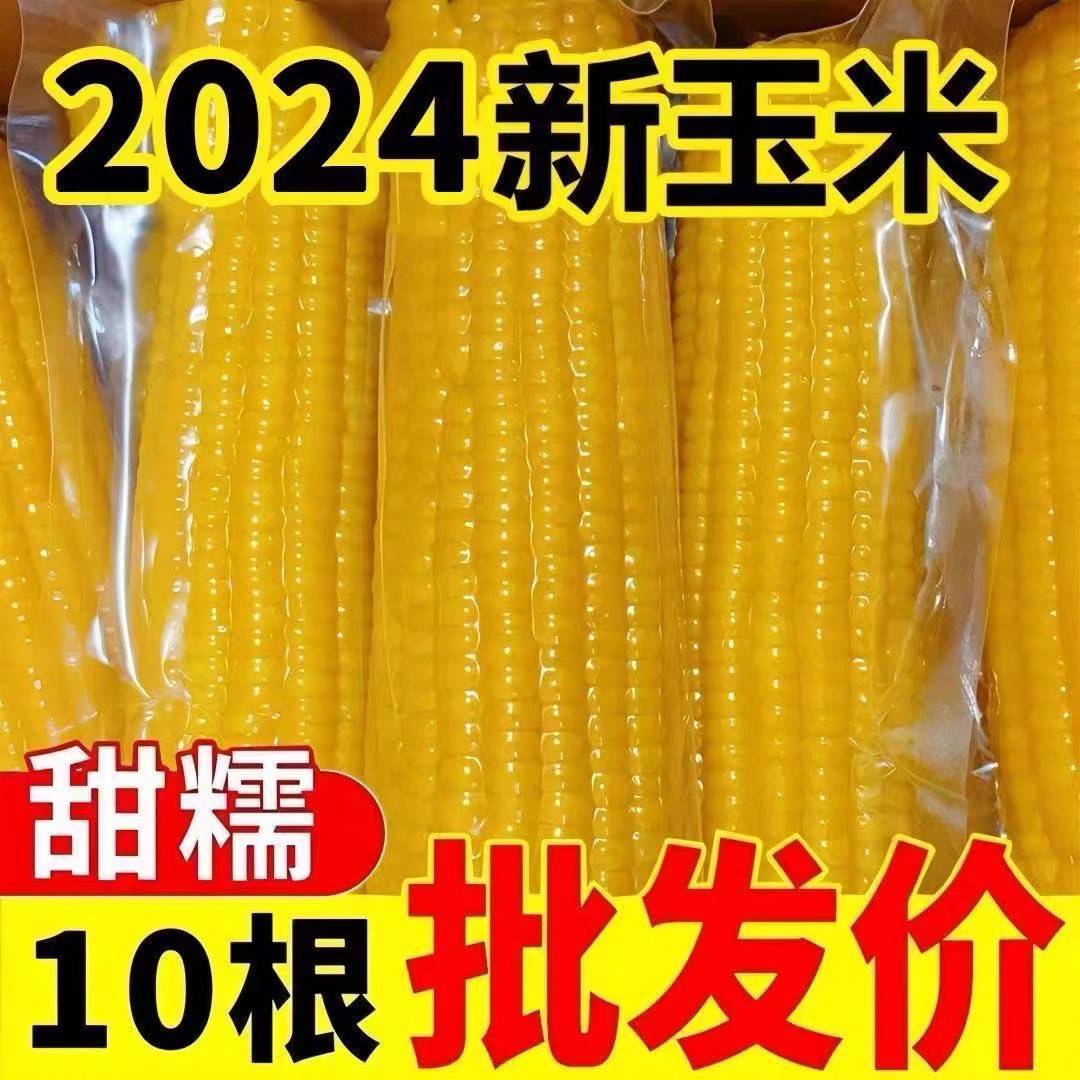 东北黄甜糯玉米新货鲜摘粗粮轻
