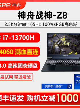 Hasee神舟Z8/7神州战神tx8/9游戏本笔记本电脑3060/4060政府补贴