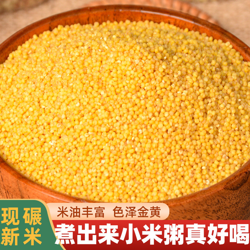 甘肃定西黄小米五谷杂粮