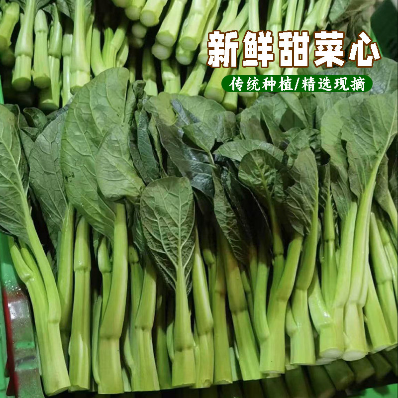 农家自种菜心新鲜现摘现发广式菜心四季甜菜心油菜心白灼菜心蔬菜