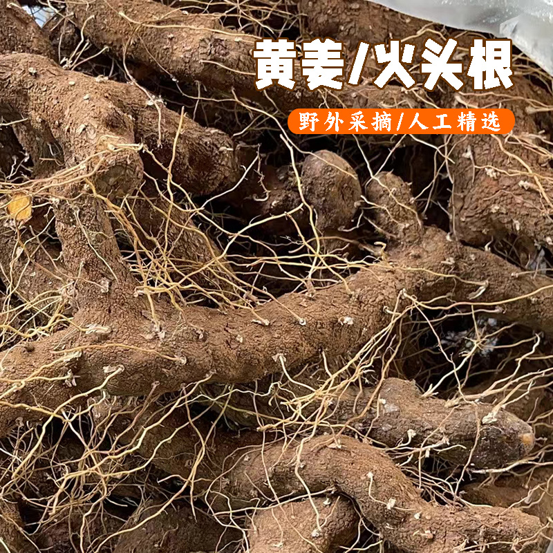 深山野黄姜农村土特产野火藤根黄姜种盾叶薯蓣新鲜生火头根精选装