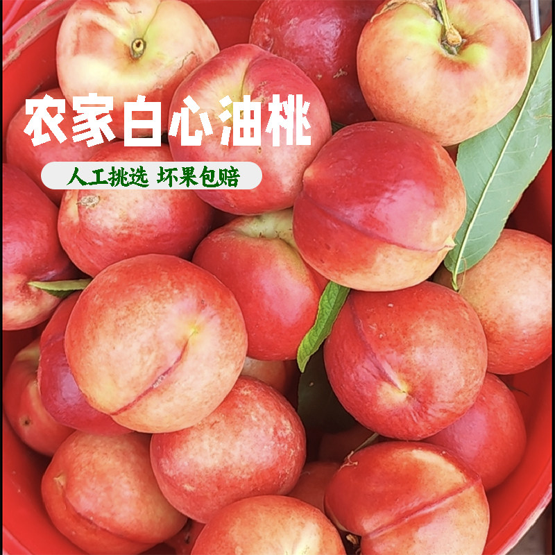 新鲜农家白心油桃水晶油桃子应季现摘纯脆甜枣桃白肉红皮桃子包邮