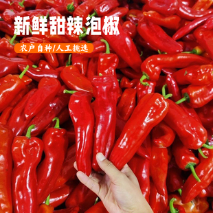 农家菜大红甜椒新鲜辣椒大红辣椒微辣红辣椒现摘鲜当季菜椒做剁椒