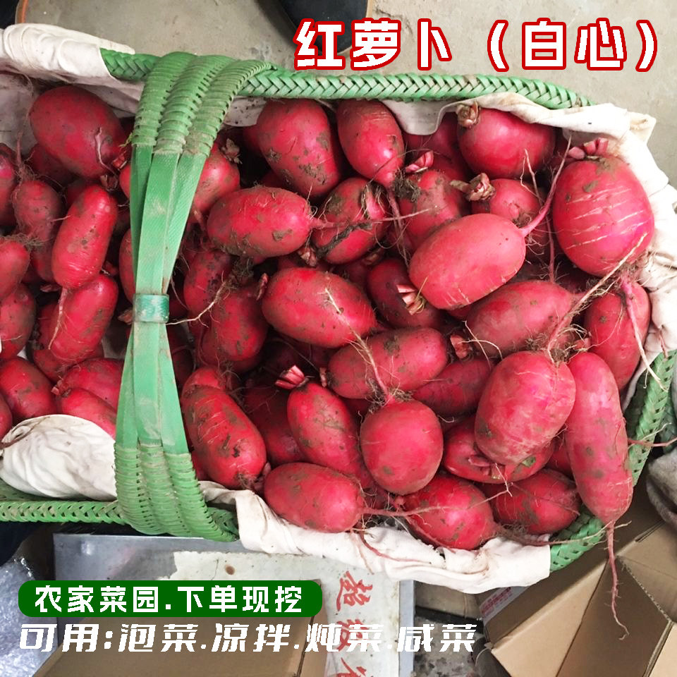 新鲜红萝卜宜昌本地红皮萝卜红皮白心水萝卜泡菜萝卜干材料老品种