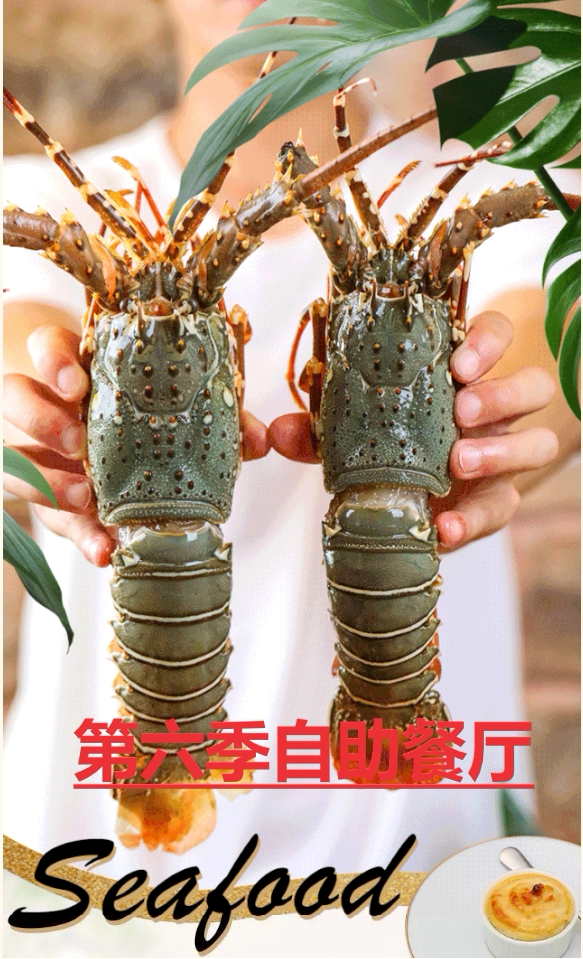 第六季自助餐厅海鲜火锅自助优惠代买单实体惠折扣券