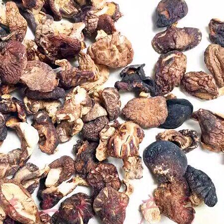 小香菇250g始兴蘑菇花菇本地菇野山冬菇韶关广东特产