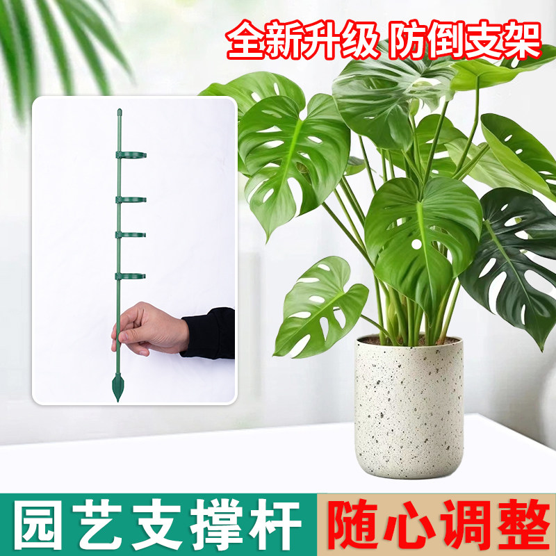 速发园艺定撑杆蝴蝶兰花支架固支花架固树花杆爬藤金钱定器花神器