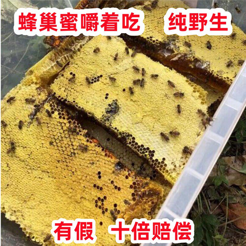 蜂巢蜜蜂巢蜜嚼着吃蜂蜜野生纯正原生正宗蜂巢蜜天然蜂巢蜜5
