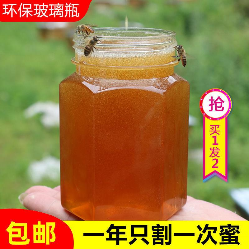 新日期蜂蜜纯正天然原蜜土蜂蜜枣花蜜无添加洋槐蜂蜜农家自产野生