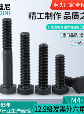 速发12.级外六角10螺栓8强度5六角246丝6发黑高厘14C1螺M18M20M22