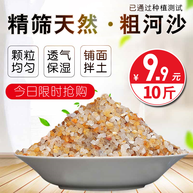 速发粗河沙多肉水面石植物子植介质颗粒土粗沙种造景铺族