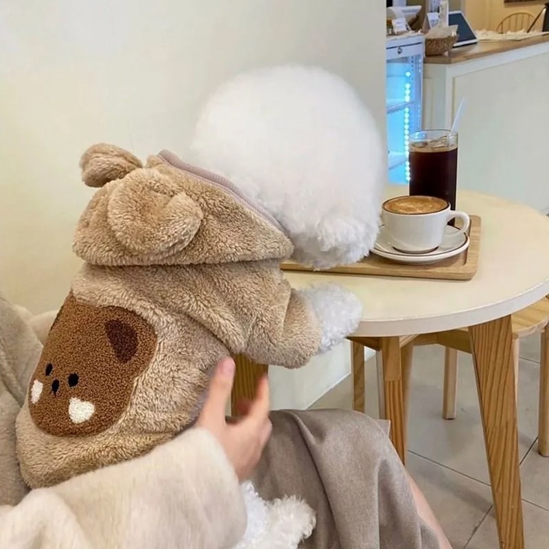 速发小衣服秋冬款可爱迪绒带帽棉衣泰毛比美博熊猫咪卫衣