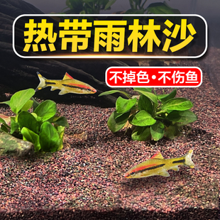 速发雨林沙鱼缸造景砂水草龟缸饰底装小溪流石原生细铺沙子雷龙鱼