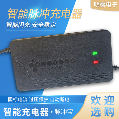 电瓶车铅酸电池充电器24v48v60v