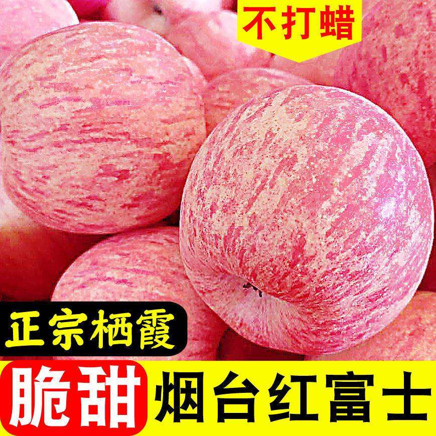 山东烟台栖霞正宗红富士奶油苹果脆甜新鲜水果整箱3/5/9斤特产怎么样,好用不?