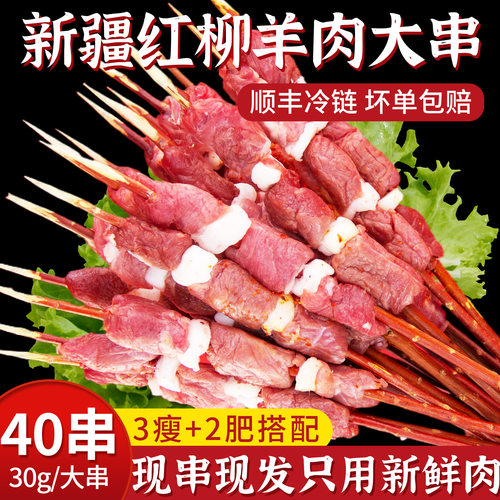 三疆牧羊红柳羊肉串户外野餐烧烤