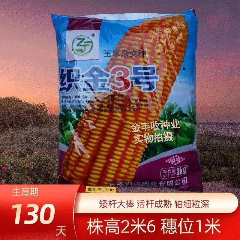 云贵川正品高产玉米种子原装玉米种批杂交产国审矮秆大棒抗病抗旱