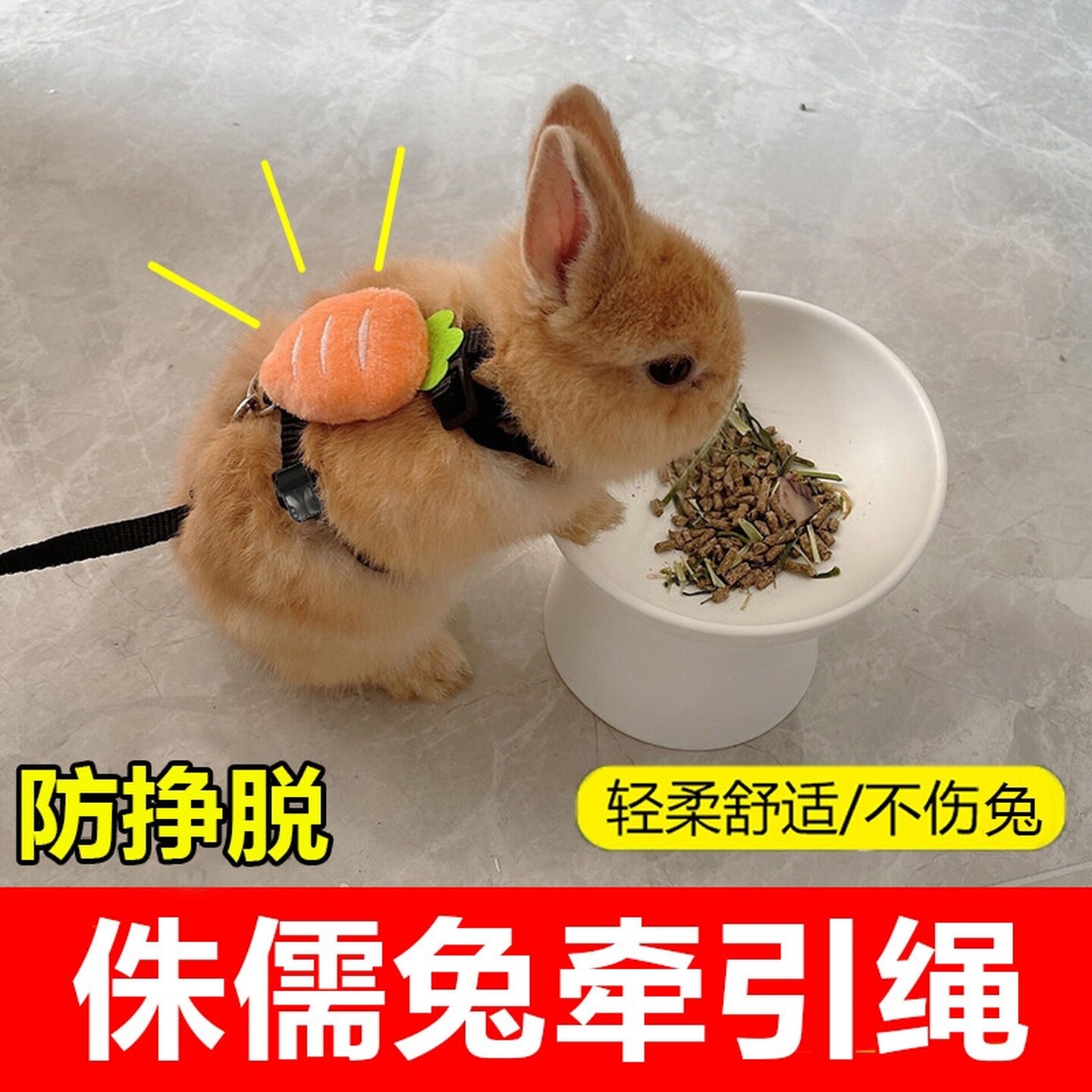 龙猫荷兰猪牵引绳专用外出放风神器溜绳防挣脱可调节家用用品大全
