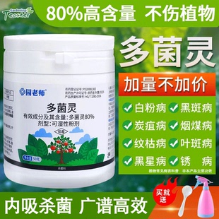 园老师多菌灵多肉月季花卉植物通用杀菌剂黑斑白粉病专用药多灵菌