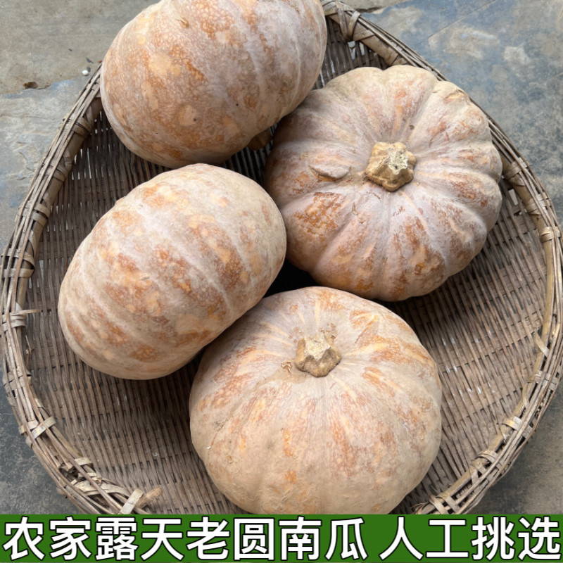 老南瓜粉糯甜农家自种磨盘圆南瓜新鲜老品种老黄南瓜蔬菜新鲜辅食,水产肉类/新鲜蔬果/熟食,南瓜,淘宝优惠券,粉丝福利购,淘宝优惠卷
