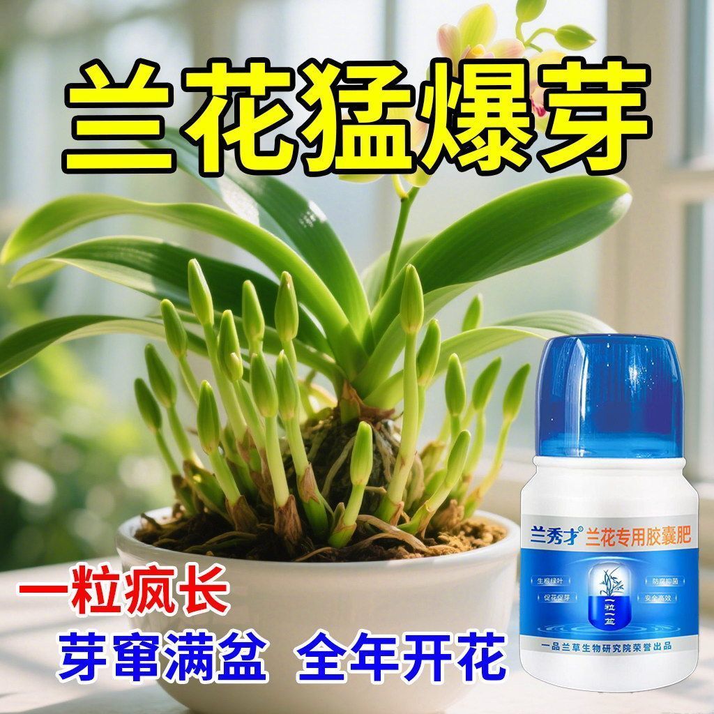 【兰花生新根】生根爆根剂兰花烂根叶黄不成活壮根专用爆根原液