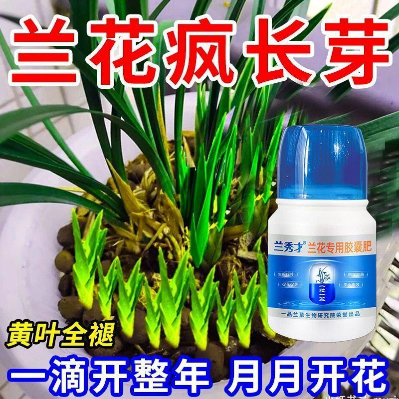 兰花强力爆芽素爆芽王兰花营养液颗粒肥生根壮根催芽爆芽增肥专用
