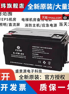 CSSB沈松蓄电池6FM12V65A12A18A20A24A38A100AHUPSEPS直流屏电梯