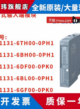 西门子 6DL1131-6TH00/6BH00/6DF00/6BL00/6GF00-0PH1/0PK0/OPKO