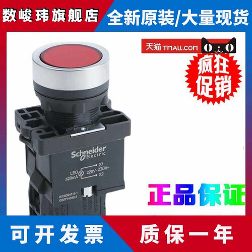 正品施耐德 XA2EW31/33/34/35/36/B1 B2 M1 M2 带灯塑料按钮22mm