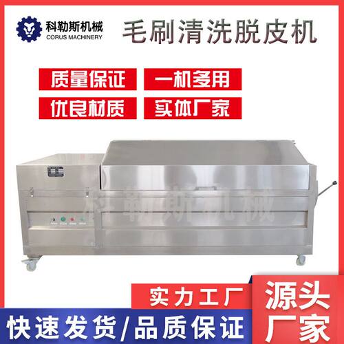 洗菜机毛刷去皮机土豆芋头红萝卜桔梗莲藕脱皮机根茎类清洗机