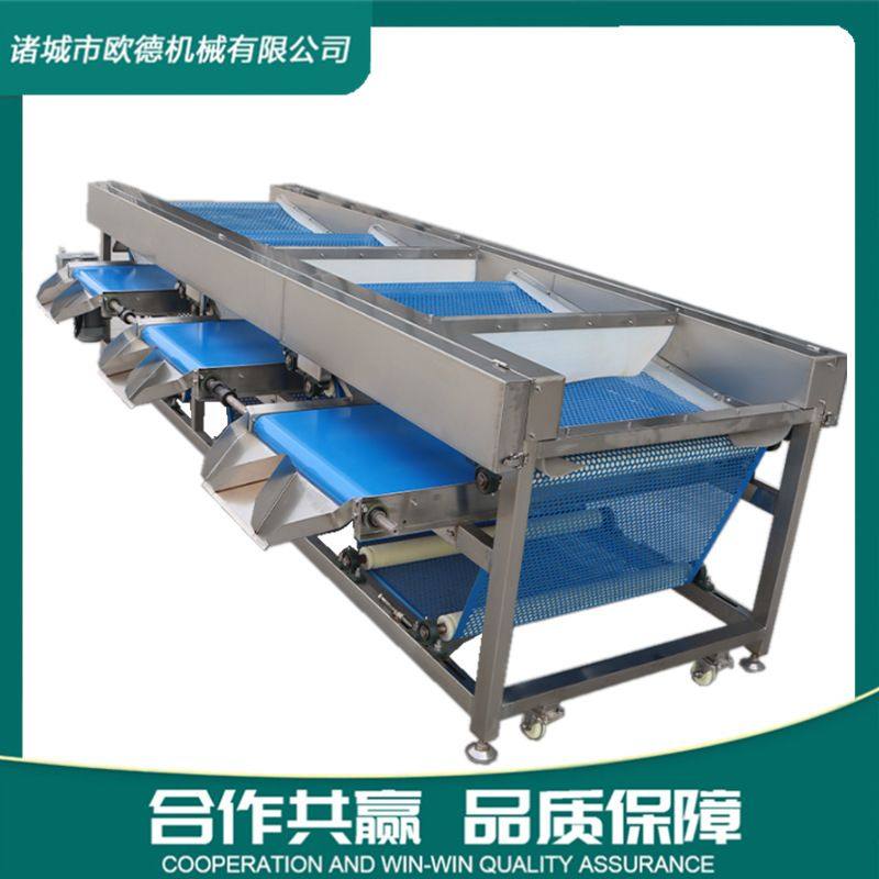 欧德鲜果蓝莓柠檬过滤筛选分选设备 蔓越莓皮带直径分级筛选精准,清洗/食品/商业设备,选果机/分选机,淘宝优惠券,粉丝福利购,淘宝优惠卷