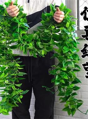假花绿叶藤条吊顶装饰树叶仿真葡萄叶塑料绿萝藤蔓绿植水管道缠绕