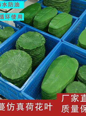 仿真荷叶餐厅菜肴装饰摆盘绿色叶子塑料水果店垫荷花吃烧烤店垫盘